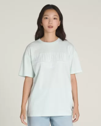 Maglietta vintage retrò dell’isola