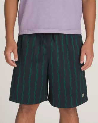 Pantaloncini sportivi Skate Loose 20”