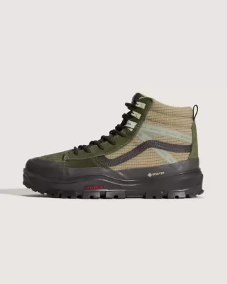Scarpa isolata Sk8-Hi GORE-TEX